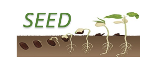 Image selected by project leader